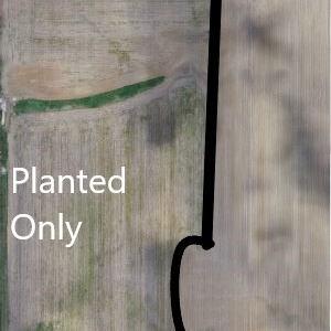 Image of a plot showing differences in drained and undrained areas