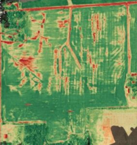 Image of a crop health map of the field taken around stage R3