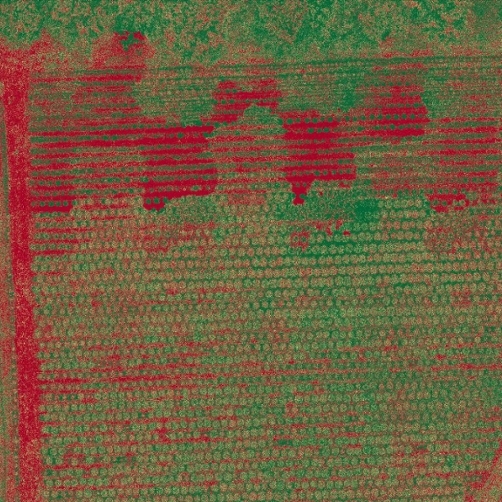 Images of industrial hemp in its first year were taken to understand the crop in terms of CBD production