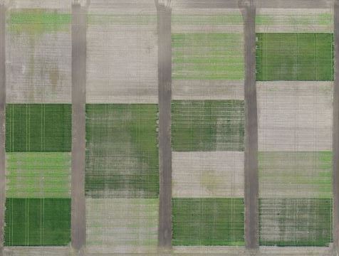 aerial image cover crop