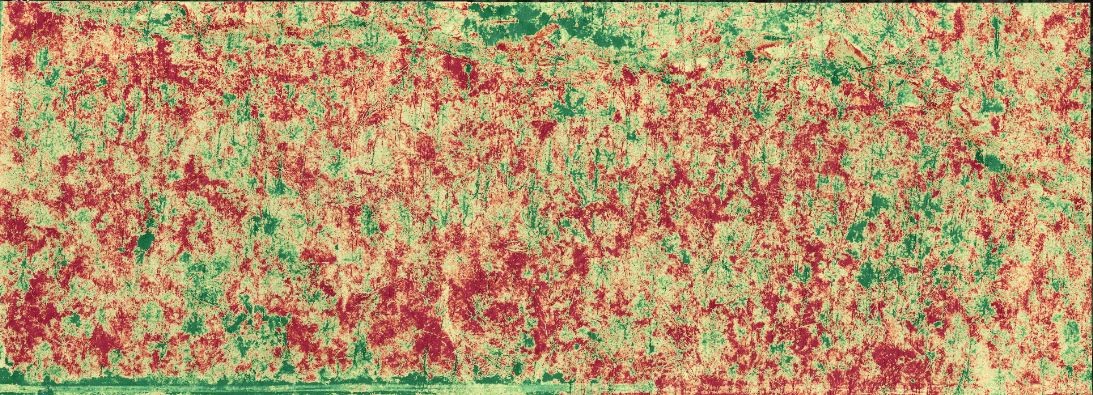 Image of UAV used in wooded areas to identify invasive plant species