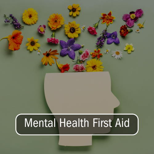 mental-health-first-aid.png